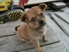 包含?鼊鄱7蟿莈?z??骐xz03坘I??莏?月Eh獢滕J?蜬镐+筰.躖贷u俎U龈??kAU$(_纗┋?H憞憵:闖?v?孈﹂?謷倹??k??媡k韟%ぬm?啯ェ`妄八a首?€,]蚴@J9恗JJ的词条-米兰体育入口